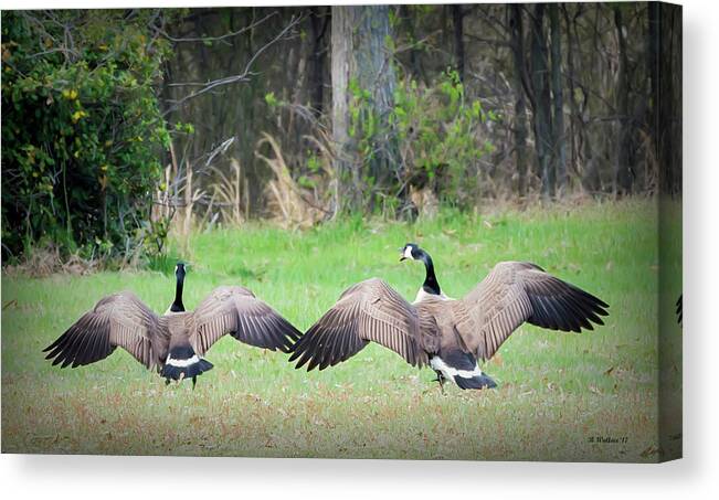 2d Canvas Print featuring the photograph 3 Pt Landing by Brian Wallace