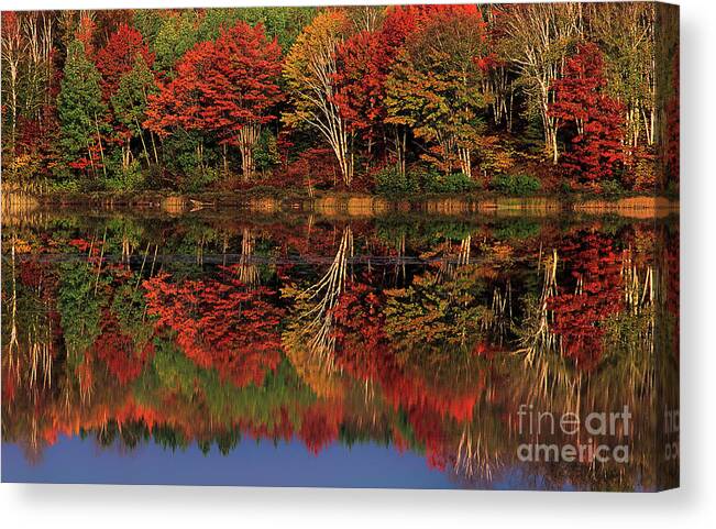 Dave Welling Canvas Print featuring the photograph Fall Color Reflected in Thornton Lake Michigan by Dave Welling