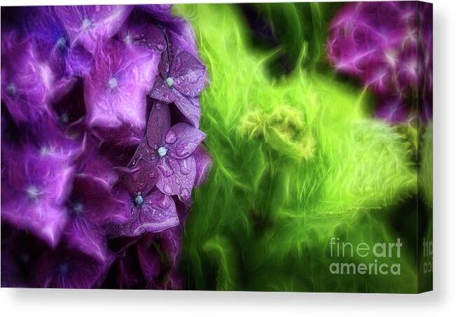 Fractals Canvas Print featuring the photograph Fractals and Flowers by Cameron Wood