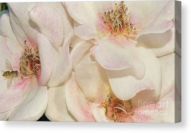 Flowers Canvas Print featuring the photograph One Small Visitor by Reb Frost