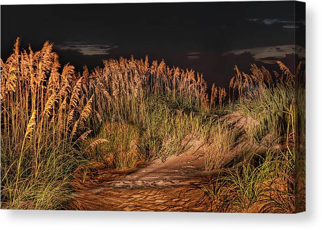 Outer Banks Canvas Print featuring the photograph Sand Dunes at Night on the Outer Banks by Dan Carmichael