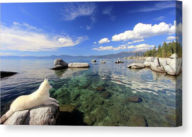 Lake Tahoe Canvas Print featuring the photograph Sierra Sphinx by Sean Sarsfield