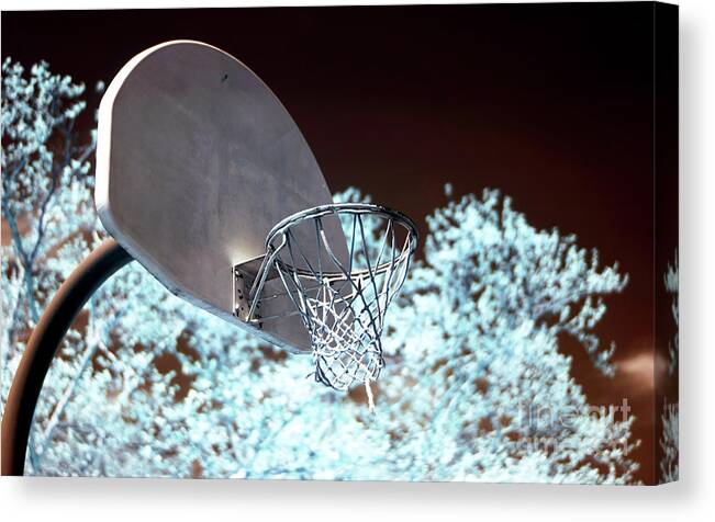 The Basket Canvas Print featuring the photograph The Basket by John Rizzuto