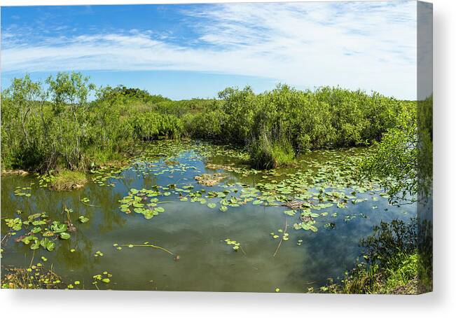 204776 Canvas Print featuring the photograph Scenic View Of Wetland, Anhinga Trail #2 by Panoramic Images