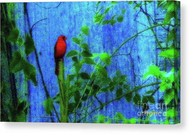 Earth Day Canvas Print featuring the photograph Redbird Enjoying the Clarity of a Blue and Green Moment by Aberjhani