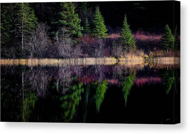 Canada Canvas Print featuring the photograph Mauve Echo by Doug Gibbons