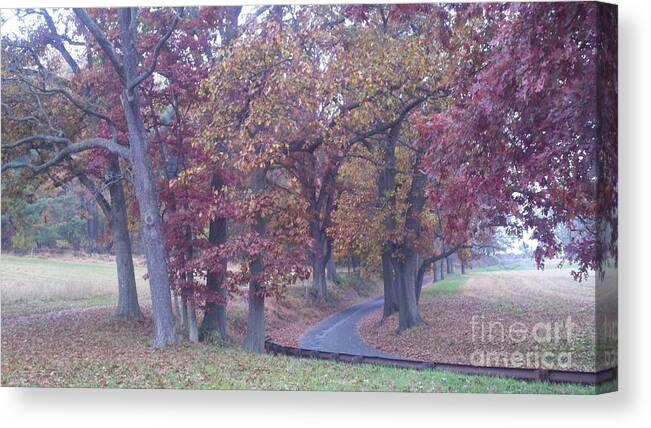 Autumn Trees Canvas Print featuring the painting A Path to Follow #2 by Margaret Welsh Willowsilk