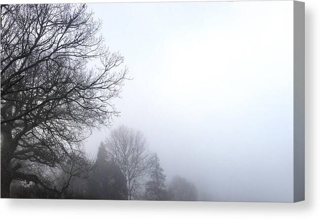 Black And White Canvas Print featuring the photograph Tree in fog #1 by Les Cunliffe