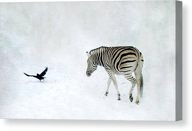 Zebra Canvas Print featuring the photograph Zebra #1 by Heike Hultsch
