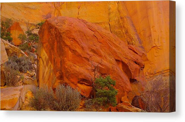 Rocks Canvas Print featuring the photograph A Big Rock In The Canyon by Jeff Swan