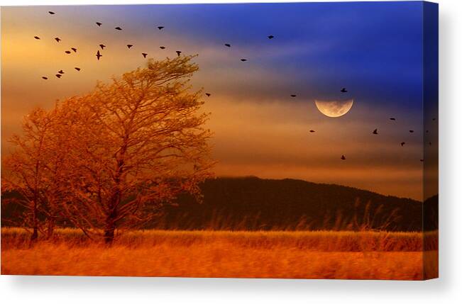 Landscape Canvas Print featuring the photograph Against the Wind by Holly Kempe