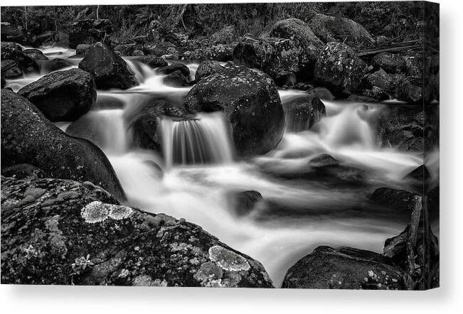 Alpine National Park Canvas Print featuring the photograph Aqua Mystic by Mark Lucey