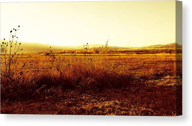 Cody Canvas Print featuring the photograph Autumn Glow by Lisa Holland-Gillem