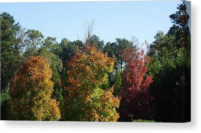 Autumn Leaves Canvas Print featuring the photograph Autumn Leaves by Rafael Salazar