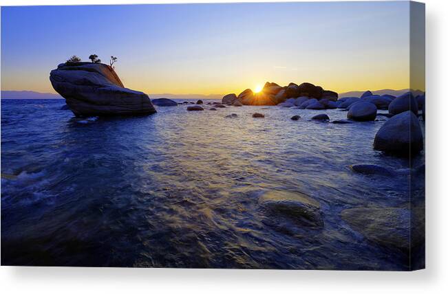 Nature Canvas Print featuring the photograph Awaiting by Chad Dutson