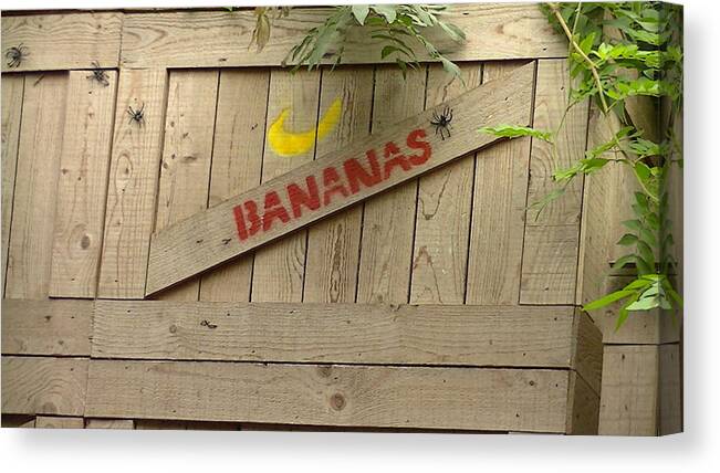 Bananas Canvas Print featuring the photograph Bananas by Nieve Andrea