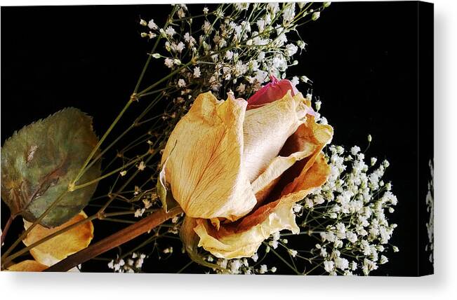 Rose Canvas Print featuring the photograph Beauty In Baby's Breath by Tanya Jacobson-Smith