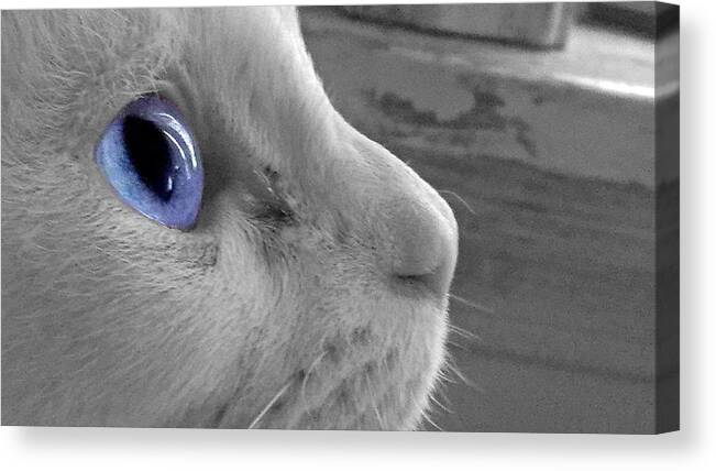 Blue Eye Canvas Print featuring the photograph Blue Eye by Dark Whimsy
