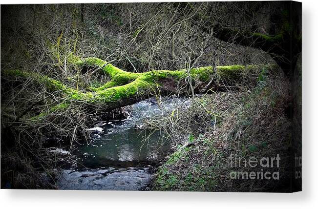 Nature Canvas Print featuring the photograph Bridge by Kenneth Clarke