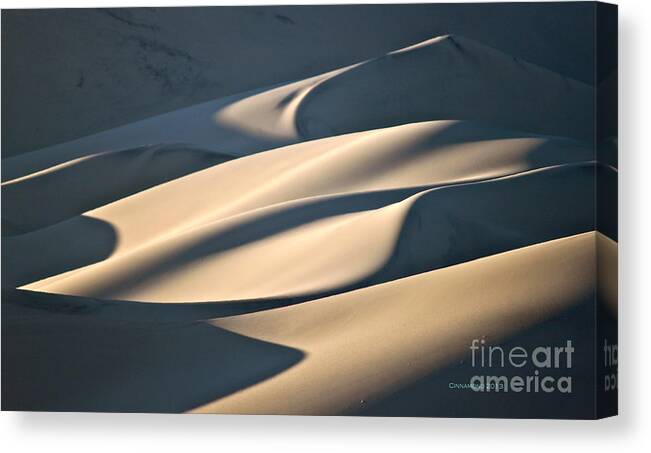 Eureka Sand Dunes Canvas Print featuring the photograph Cake Frosting by Michael Cinnamond