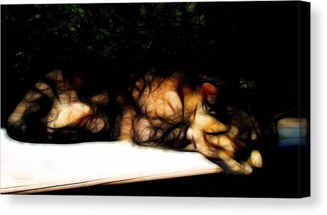 Nature Canvas Print featuring the digital art Cat Nap 1 by William Horden