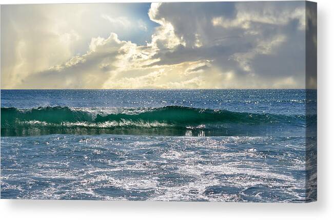 Tropical Canvas Print featuring the photograph Charybdis by Laura Fasulo