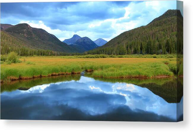 Meadow Canvas Print featuring the photograph Christmas Meadows in the Uinta Mountains. by Wasatch Light