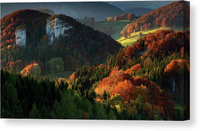 Tranquility Canvas Print featuring the photograph Colourful Forest In Autumn In Northern by Sa*ga Photography