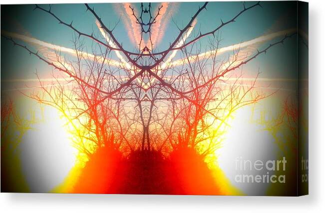 Contrails Canvas Print featuring the photograph Chemtrails and Hedge by Karen Newell