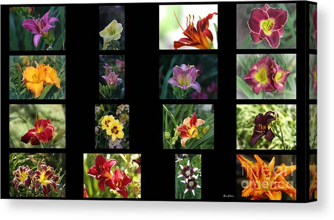 Day Lilies Canvas Print featuring the photograph Day lily Collage by Yumi Johnson