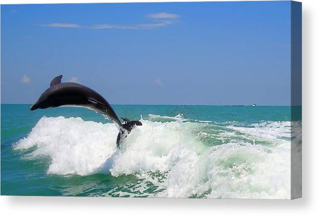Dolphin Canvas Print featuring the digital art Dolphin Flip 2 by Kara Stewart