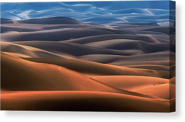 Landscape Canvas Print featuring the photograph Dream Desert by Mohammad Shefaa