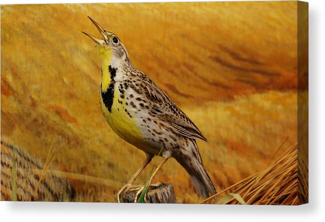 Meadowlark Canvas Print featuring the photograph Eastern Meadowlark by Larry Trupp