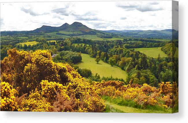 Eildon Hill Canvas Print featuring the photograph Eildon Hill - three peaks and a valley by Elena Perelman