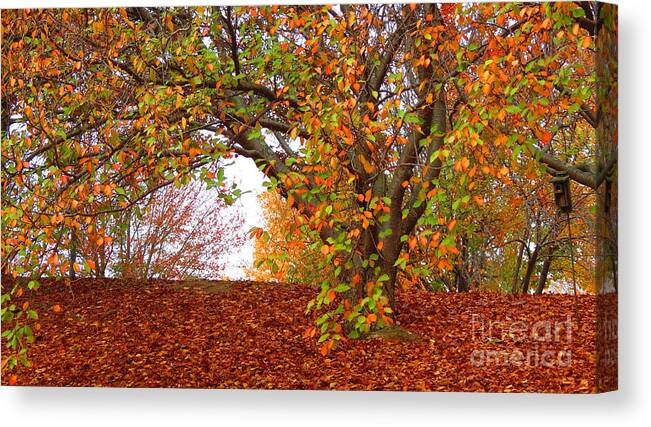 Fall Canvas Print featuring the photograph Fall Colours by Anita Adams