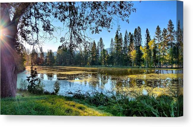 Fall Canvas Print featuring the photograph Fall Preview by Julia Hassett