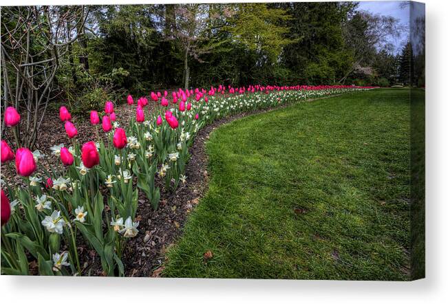 Flowers Canvas Print featuring the photograph Flowers of Spring by David Dufresne