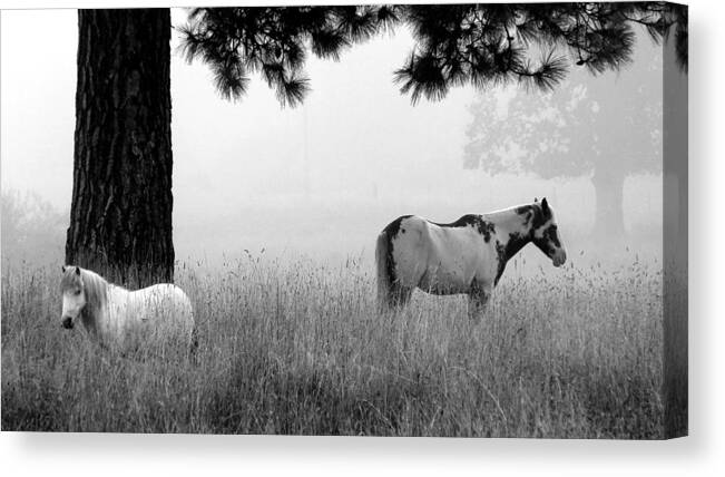 Black & White Canvas Print featuring the photograph Fog Bound by Julia Hassett