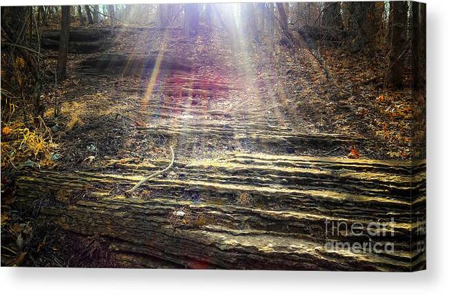  Missouri State Parks Canvas Print featuring the photograph Follow the Light Path by Peggy Franz