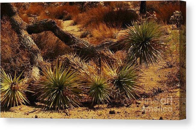 Global Warming Canvas Print featuring the photograph Global Warming by Angela J Wright