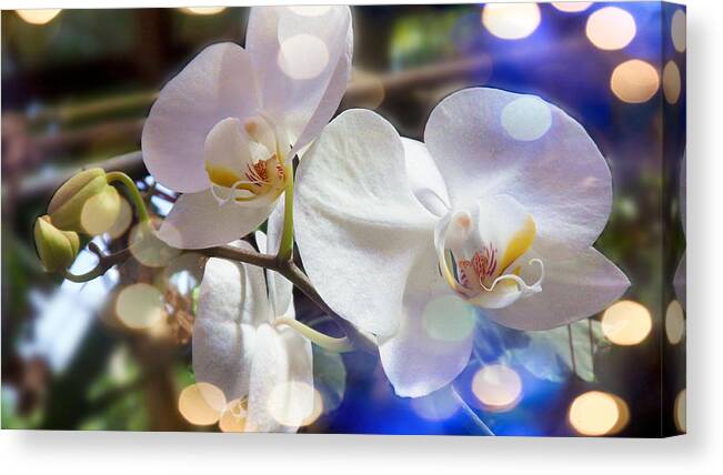 Glorious Canvas Print featuring the digital art Glorious Orchids by Xueyin Chen