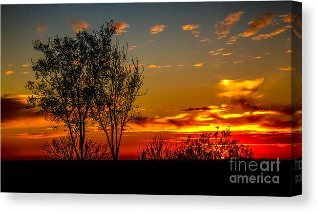 Sunset Canvas Print featuring the photograph Golden Evening by Robert Bales