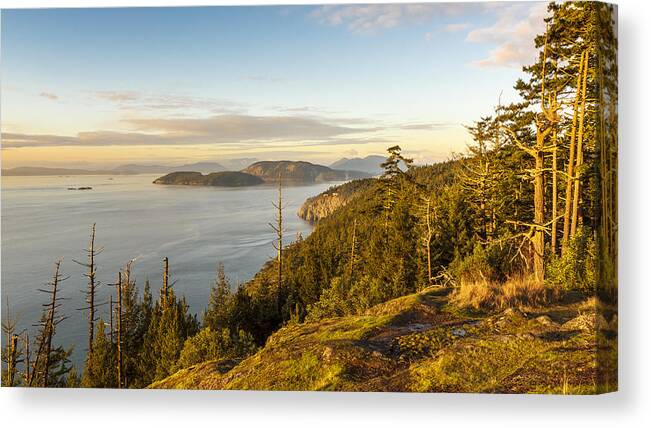 Golden Hour Canvas Print featuring the photograph Golden Hour on the Salish Sea by Tony Locke