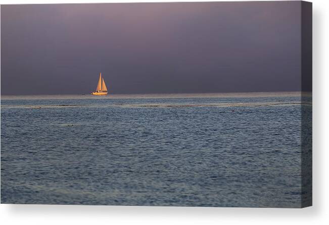 Sail Canvas Print featuring the photograph Golden Sunrise Sails By Denise Dube by Denise Dube