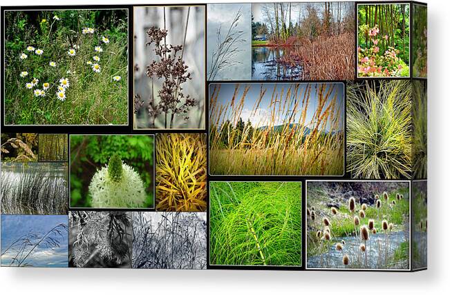 Grass Collage Variety Canvas Print featuring the photograph Grass Collage Variety by Tikvah's Hope