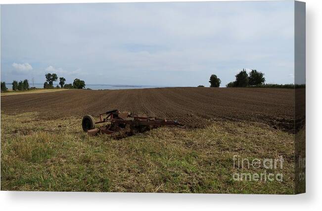 Ploughed Field Canvas Print featuring the photograph Harvest in house by Susanne Baumann