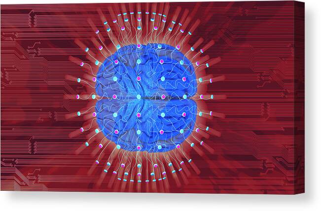 Expertise Canvas Print featuring the photograph Human Brain On Technology Background by Nopparit