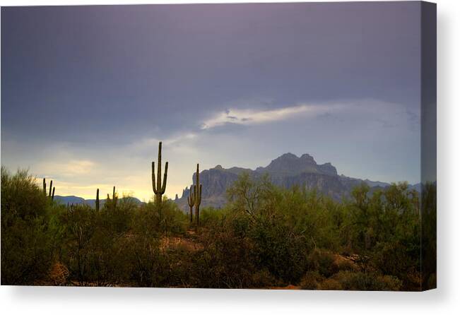 Sunset Canvas Print featuring the photograph In the Shadows of the Superstitions by Saija Lehtonen