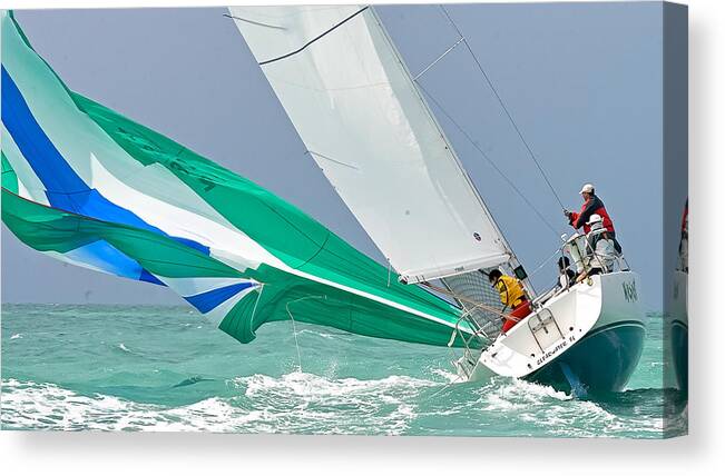 Knock Canvas Print featuring the photograph Key West Knockdown by Steven Lapkin