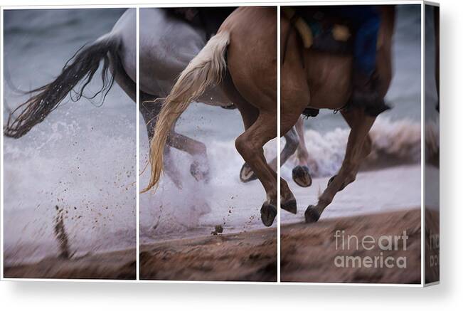 Galloping Horses On The Beach Canvas Print featuring the photograph Kicking up the Sand by Mary Lou Chmura